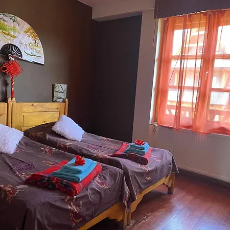 威拉阿尔塔宾馆 * 布库维纳塔然斯卡