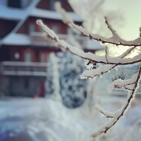 Alta * Bukowina Tatrzańska