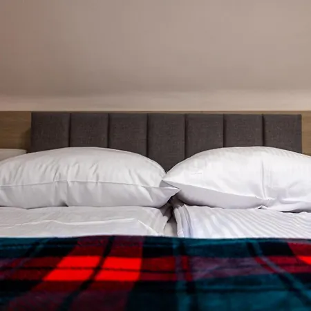 威拉阿尔塔宾馆 布库维纳塔然斯卡