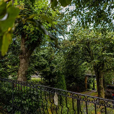 威拉阿尔塔宾馆 民宿 *