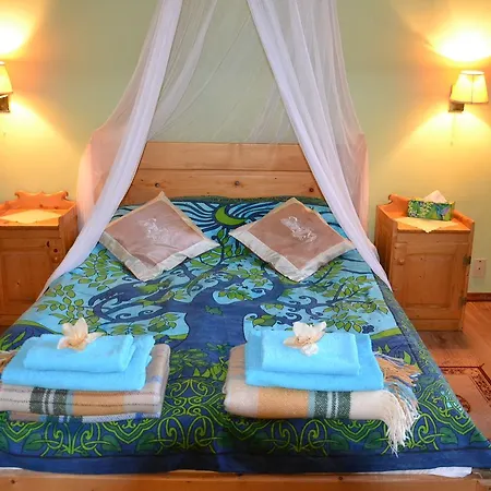 威拉阿尔塔宾馆 民宿 布库维纳塔然斯卡