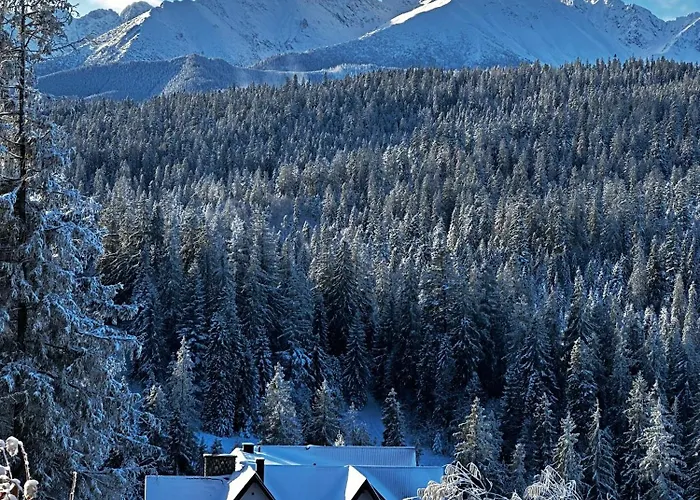 Alta * Bukowina Tatrzańska